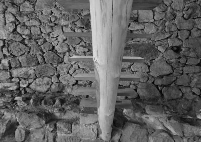 Escalier sur grume