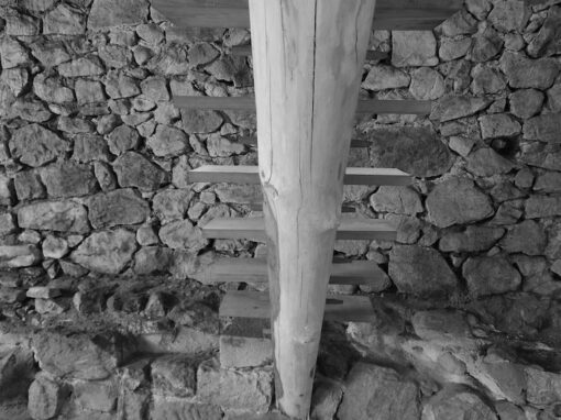 Escalier sur grume