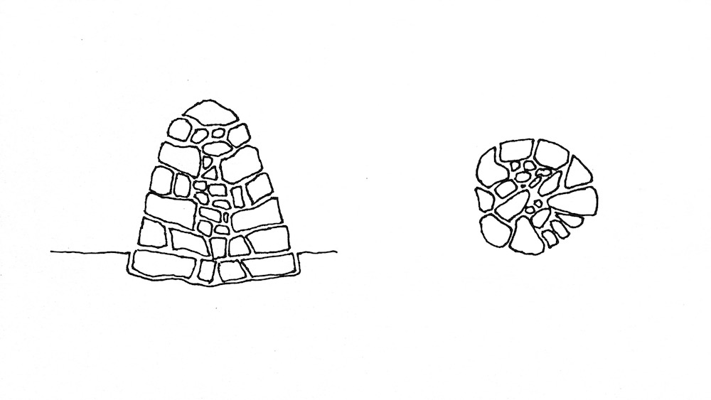 scheme-borne